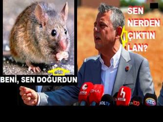 “HAFİYE BOZUNTUSU” ÖZGÜR ÖZEL, “FARE” DOĞURDU.