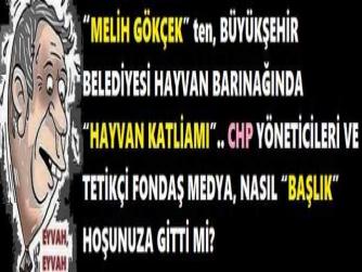 “MELİH GÖKÇEK” ten, BÜYÜKŞEHİR BELEDİYESİ HAYVAN BARINAĞINDA “HAYVAN KATLİAMI”.. CHP YÖNETİCİLERİ VE TETİKÇİ FONDAŞ MEDYA, NASIL “BAŞLIK” HOŞUNUZA GİTTİ Mİ?