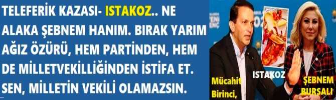 TELEFERİK KAZASI- ISTAKOZ.. NE ALAKA ŞEBNEM HANIM. BIRAK YARIM AĞIZ ÖZÜRÜ, HEM PARTİNDEN, HEM DE MİLLETVEKİLLİĞİNDEN İSTİFA ET. SEN, MİLLETİN VEKİLİ OLAMAZSIN.