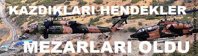 MARDİN'de, PKK'lı 15 KUDUZ KÖPEK GEBERTİLDİ. KAZDIKLARI HENDEKLER MEZARLARI OLDU