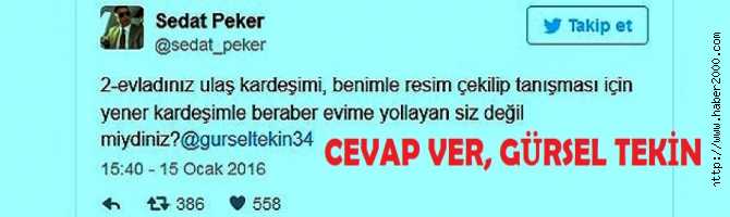 CHP'li GÜRSEL TEKİN'e SORUYORUZ : 'SEDAT PEKER, KANLI MAFYA İSE; OĞLUNU NEDEN PEKER İLE TANIŞIP, RESİM ÇEKTİRMEYE GÖNDERDİN?'