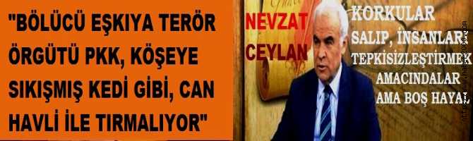 AK PARTİ ANKARA MİLLETVEKİLİ NEVZAT CEYLAN : 