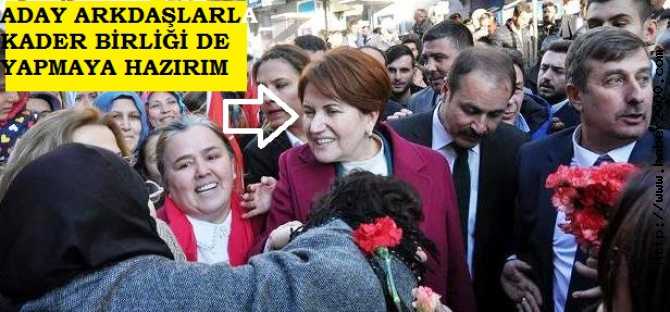 AKŞENER : 