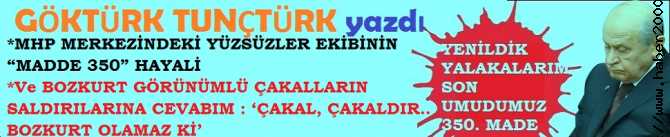 MHP MERKEZİNDEKİ YÜZSÜZLER EKİBİNİN “MADDE 350” HAYALİ ve BOZKURT GÖRÜNÜMLÜ ÇAKALLARIN  SALDIRILARINA CEVABIM : ‘ÇAKAL, ÇAKALDIR.. BOZKURT OLAMAZ Kİ’