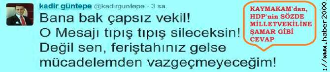 KAYMAKAMDAN, HDP'nin SÖZDE MİLLETVEKİLİNE ŞAMAR GİBİ CEVAP : 