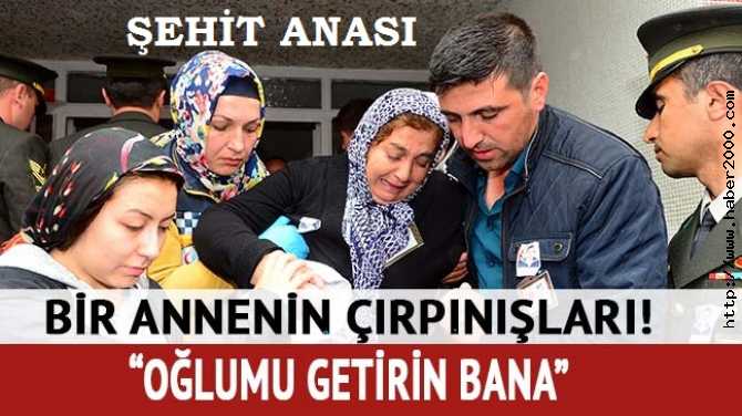 BU NE VİCDANSIZLIKTIR?.. ANALAR HER GÜN AĞLIYOR, SİZ HALA BAŞKANLIK VE SİYASİ TEZGAHLAR PEŞİNDESİNİZ