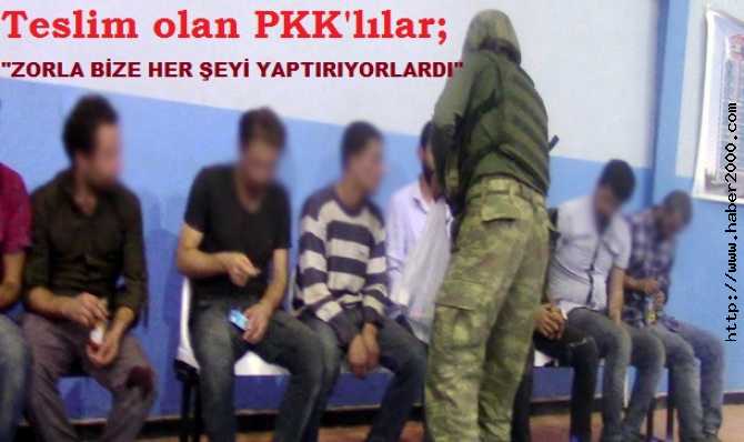 TESLİM OLAN PKK'lılar ARKADAŞLARINA SESLENDİ : 'BİZİ ZORLA ÖLÜME TERK ETTİLER, ÖLMEDEN TESLİM OLUN'