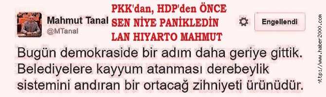 KAYYUM, PKK DESTEKÇİSİ BELEDİYELERE ATANDI, CİYAKLAYAN CHP'li MAHMUT TANAL OLDU