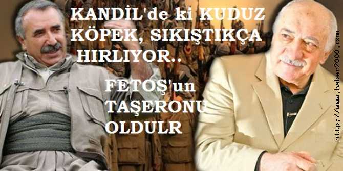 KANDİL'DE Kİ KUDUZ İTLERİN BAŞI KARAYILAN, AŞİRET LİDERLERİNE MEKTUP YAZDI : 'İSYAN ÇIKARIN, ÇIKARMAZSANIZ ÖLÜRSÜNÜZ'