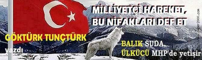 MİLLİYETÇİ HAREKET, BU NİFAKLARI DEF ET.. BALIK SUDA, ÜLKÜCÜ MHP’de YETİŞİR, GERİSİ YALAN