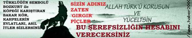 TÜRKLÜĞÜN SEMBOLÜ; BOZKURT ile KÖPEĞİ KARIŞTIRAN BAKAR KÖR, FAHİŞELERİN EVLATLARI.. BUNUN HESABINI VERECEKSİNİZ