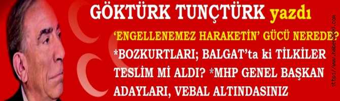 ‘ENGELLENEMEZ HARAKETİN’ GÜCÜ NEREDE? BOZKURTLARI; BALGAT’ta ki TİLKİLER TESLİM Mİ ALDI? MHP GENEL BAŞKAN ADAYLARI, VEBAL ALTINDASINIZ