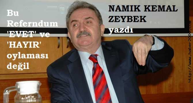 NAMIK KEMAL ZEYBEK . 