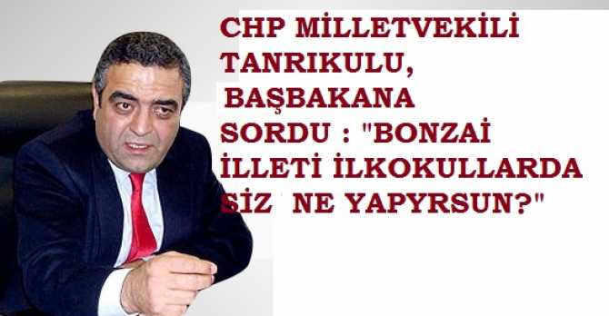 CHP BAŞBAKANA 