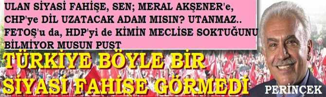 BU SİYASİ FAHİŞE DİYOR Kİ; 