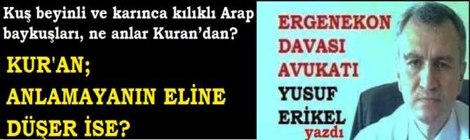 KUŞ BEYİNLİ, KARINCA KILIKLI; ARAP BAYKUŞLARI NE ANLAR KUR'AN DAN?