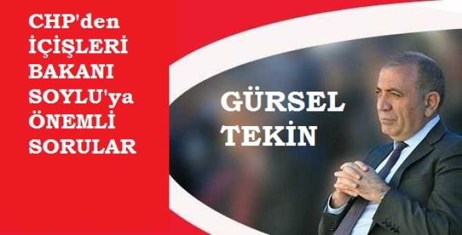 GÜRSEL TEKİN : 