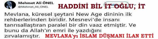 HADDİNİ BİL, İT OĞLU, İT.. SOYTARIYA BAK AKLI SIRA KÜLTÜR SANIYOR .. MEVLANA'yı İSLAM DÜŞMANI ve ŞEYTAN İLAN ETTİ 