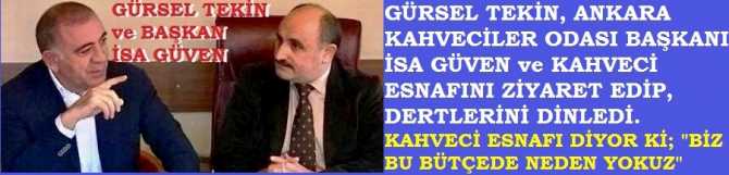 CHP MİLLETVEKİLİ GÜRSEL TEKİN : 