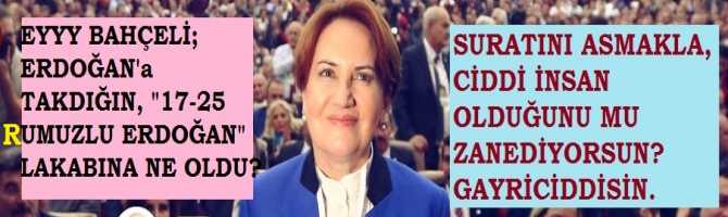 MERAL AKŞENER'den, BAHÇELİ'ye TOKAT GİBİ GÖNDERME : 