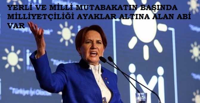 MERAL AKŞENER, HEDEFİ VURDU : 