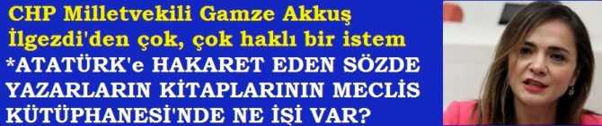 CHP MİLLETVEKİLİ, MECLİS BAŞKANINA SORDU : 