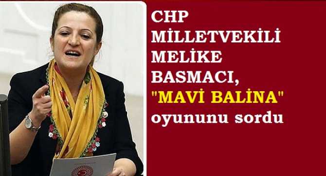 CHP MİLLETVEKİL MELİKE BASMACI'DAN, HÜKUMETE : 