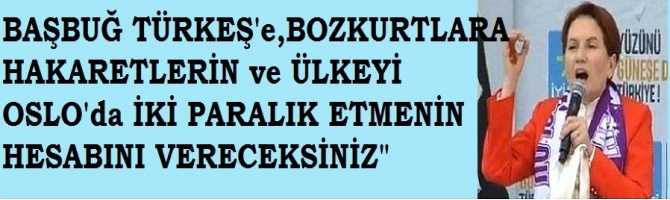 BAŞBUĞ TÜRKEŞ'e, BOZKURTLARA YAPTIĞINIZ HAKARETLERİN ve TÜRKİYE'yi; OSLU'da İKİ PARALIK ETMENİN HESABINI VERECEKSİNİZ