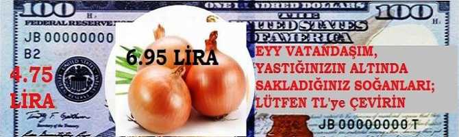 EYY VATANDAŞIM, YASTIĞINIZIN ALTINDA SAKLADIĞINIZ SOĞANLARI; LÜTFEN TL'ye ÇEVİRİN.. DOLAR : 4.75, SOĞAN : 6.95 LİRA 