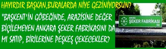 HAYIRDIR BAŞKAN, BURALARDA NİYE GEZİNİYOR SUN?.*BAŞKENT'İN GÖBEĞİNDE, ARAZİSİNE DEĞER BİÇİLEMEYEN ANKARA ŞEKER FABRİKASINI DA MI SATIP, BİRİLERİNE PEŞKEŞ ÇEKECEKLER?