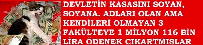 DEVLETİN KASASINI SOYAN SOYANA .. İSİMLERİ OLAN AMA KENDİLERİ OLMAYAN 3 HAYALİ FAKÜLTEYE 1 MİLYON 116 BİN LİRA ÖDENEK ÇIKARTMIŞLAR