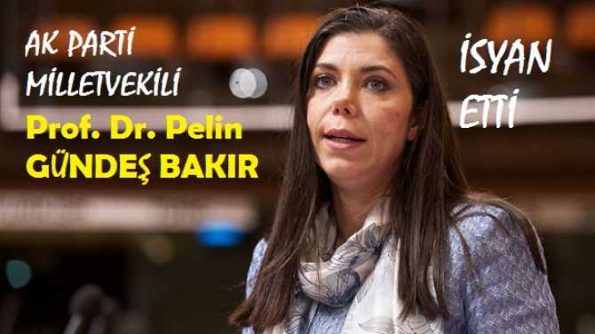 EN SONUNDA AK PARTİ KADIN MİLLETVEKİLİ DE İSYAN ETTİ : 