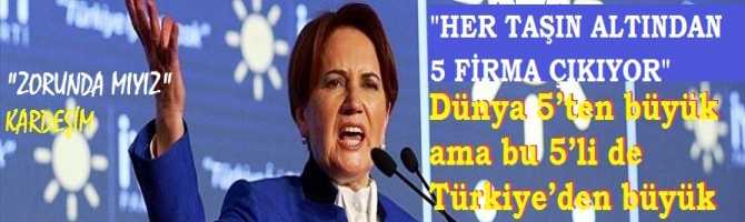 AKŞENER : 