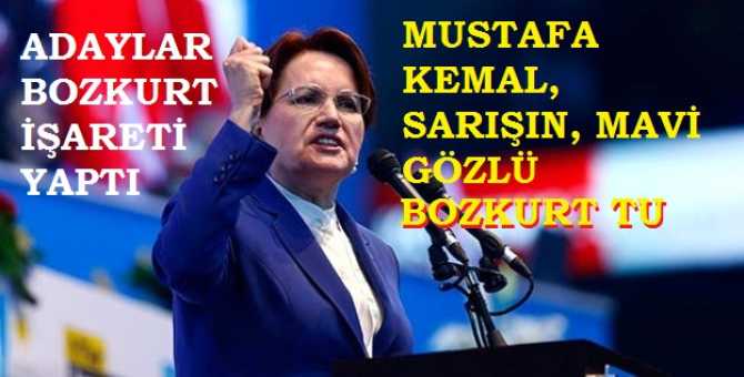 Meral Akşener : 