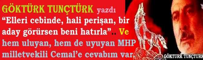“Elleri cebinde, hali perişan, bir aday görürsen beni hatırla”.. Ve hem uluyan, hem de uyuyan MHP milletvekili Cemal’e cevabım var.