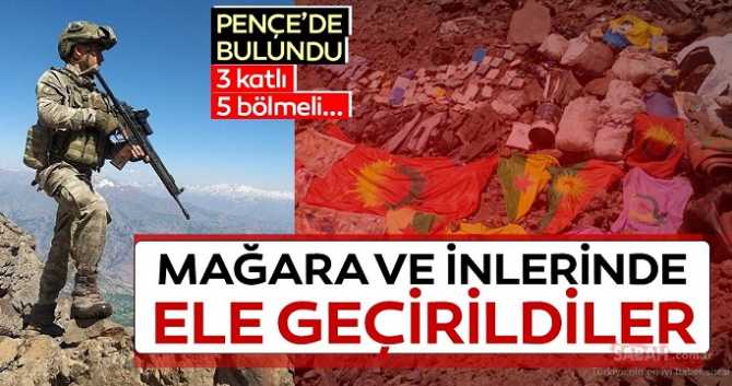 Pençe Harekatında; 43 kuduz it gebertildi