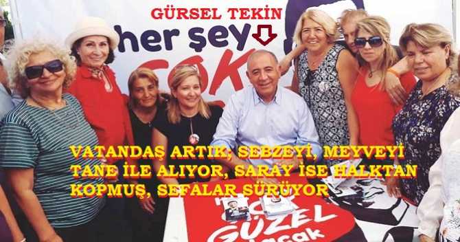 CHP'li Gürsel Tekin : 