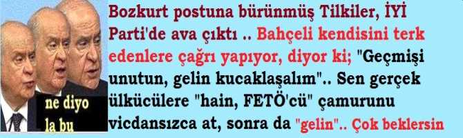 Bozkurt postuna bürünmüş Tilkiler, İYİ Parti'de ava çıktı.. Bahçeli kendisini terk edenlere çağrı yapıyor, diyor ki; 