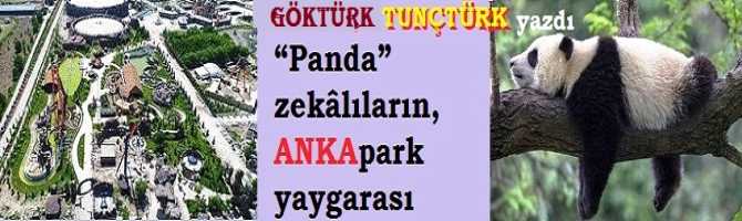 “Panda” zekâlıların, ANKApark yaygarası