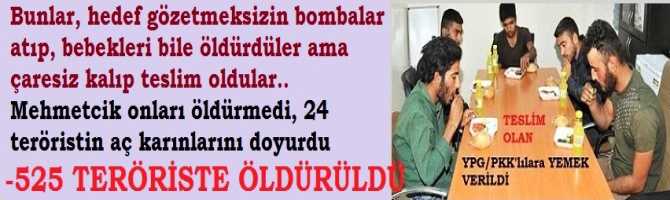 Bunlar, hedef gözetmeksizin bombalar atıp, bebekleri bile öldürdüler ama çaresiz kalıp teslim oldular.. Mehmetçik onları öldürmedi, 24 teröristin aç karınlarını doyurdu..Ve 525 teröristte çatışmada öldürüldü