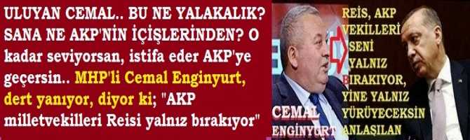 ULUYAN CEMAL.. BU NE YALAKALIK? SANA NE AKP'NİN İÇİŞLERİNDEN? O kadar seviyorsan, istifa eder AKP'ye geçersin.. MHP'li Cemal Enginyurt, dert yanıyor, diyor ki; 