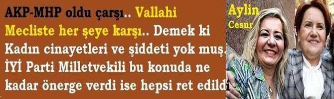 AKP-MHP oldu çarşı.. Vallahi  Mecliste her şeye karşı.. Demek ki Kadın cinayetleri ve şiddeti yok muş. İYİ Parti Milletvekili bu konuda ne kadar önerge verdi ise hepsi ret edildi.