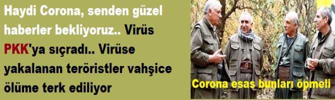 Hadi CORONA, senden güzel haberler bekliyoruz.. Virüs PKK'ya sıçradı.. Virüs kapan teröristler ölüme terk ediyorlar