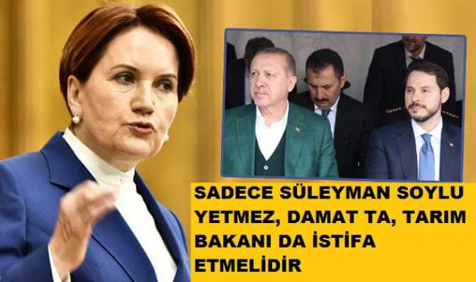 Akşener : 