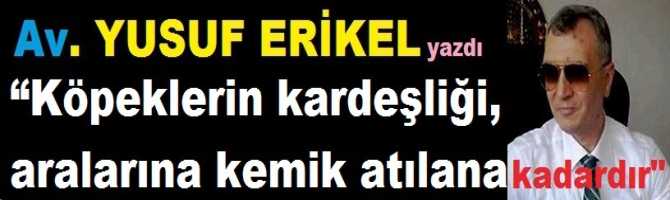 “Köpeklerin kardeşliği, aralarına kemik atılana kadardır”