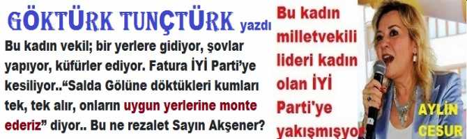 Bu kadın vekil; bir yerlere gidiyor, şovlar yapıyor, küfürler ediyor. Fatura İYİ Parti’ye kesiliyor..“Salda Gölüne döktükleri kumları tek, tek alır, onların uygun yerlerine monte ederiz” diyor.. Bu ne rezalet Sayın Akşener? 