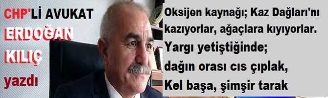 CHP’li Av. Erdoğan Kılıç : “Oksijen kaynağı; Kaz Dağları'nı kazıyorlar, ağaçlara kıyıyorlar. Yargı yetiştiğinde; dağın orası cıs çıplak, Kel başa, şimşir tarak”