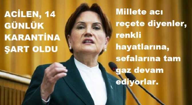 AKŞENER : 