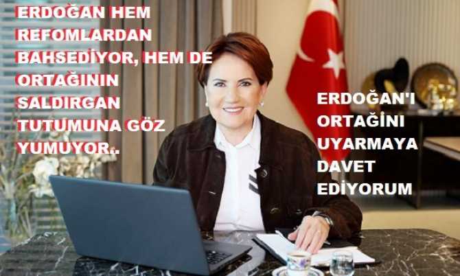 AKŞENER : 