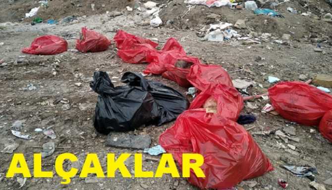 ALÇAKLAR, ŞEREFSİZLER .. Ankara'da, insan olmayanların vahşeti